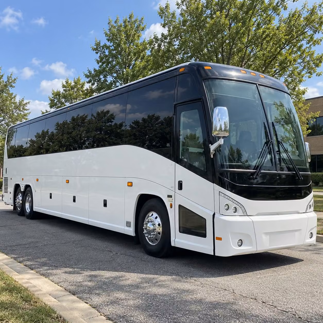 field trip buses to the toledo zoo aquarium one of the best in the country